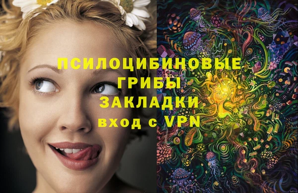 дживик Михайловск
