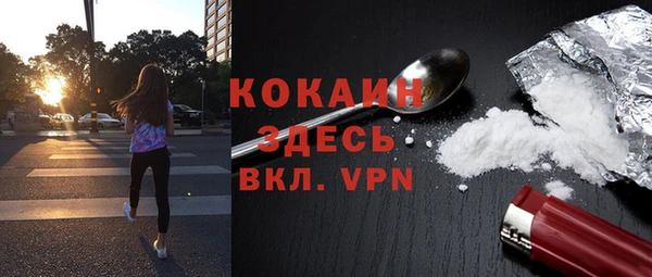 хмурый Мегион